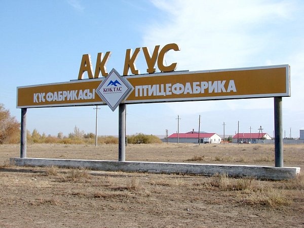 Галерея 